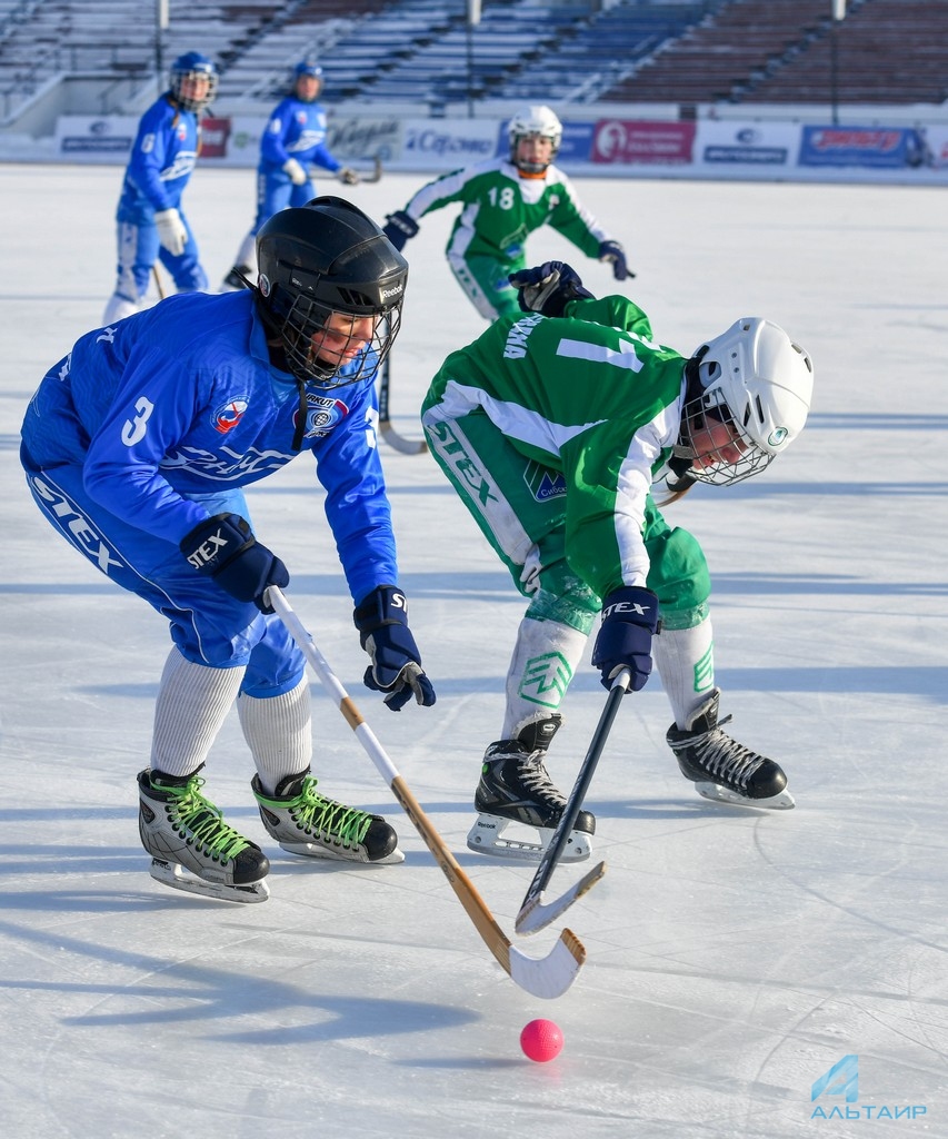 sportivnaya shkola po hokkeyu s myachom sibskana